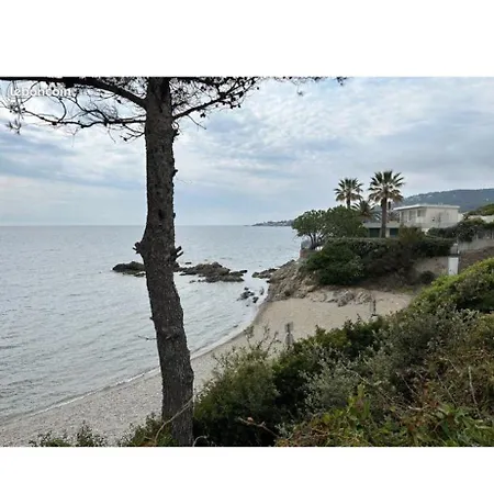 Front De Cote D Azur