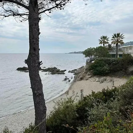 Front De Cote D Azur