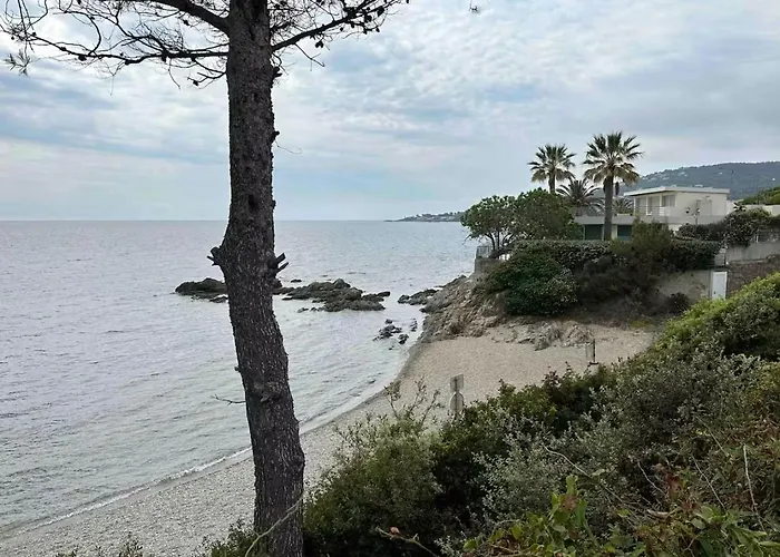 Front De Cote D Azur