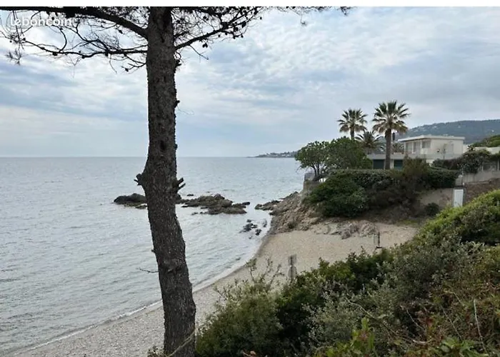 Front De Cote D Azur